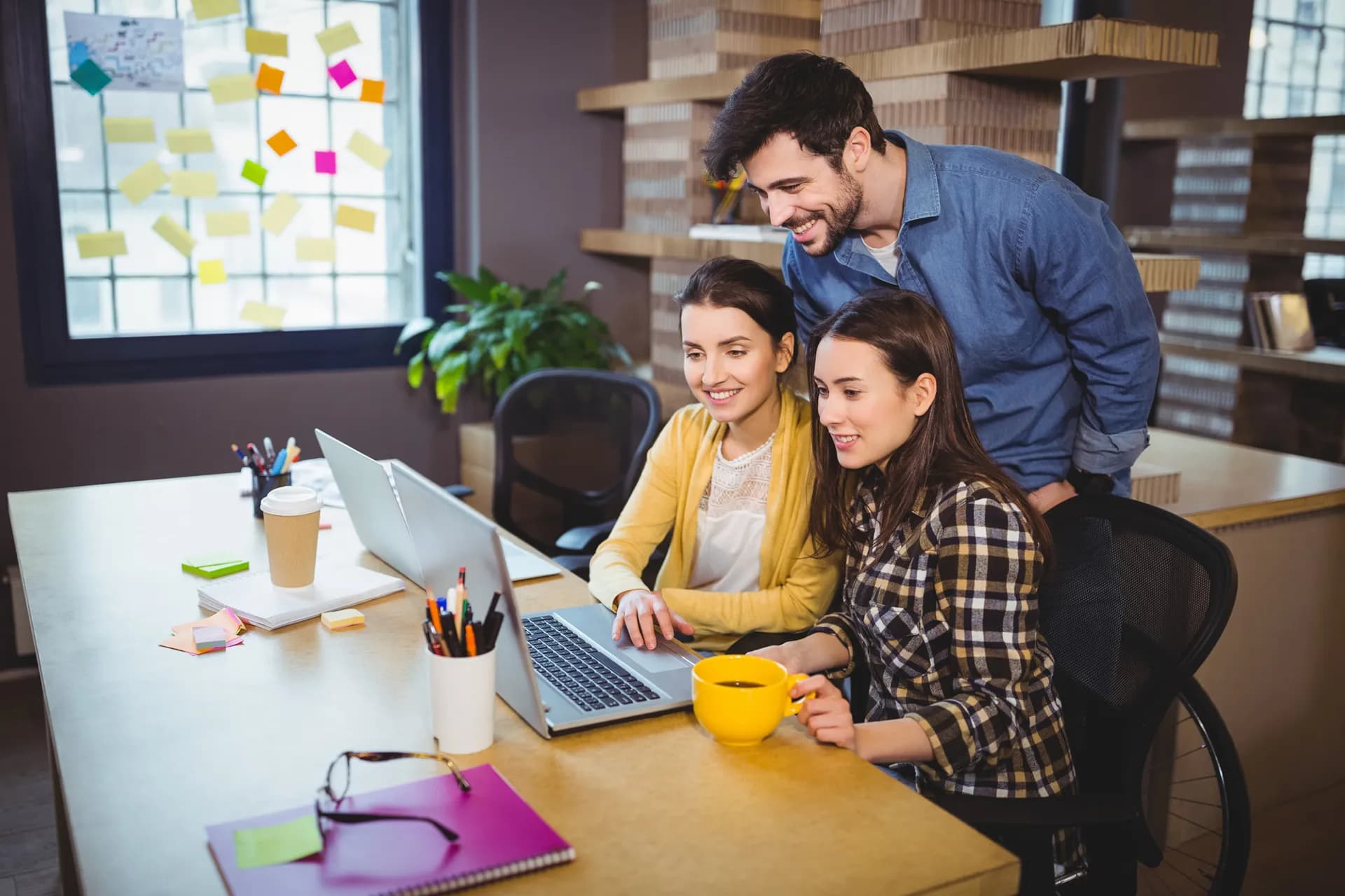 Docentes y formación universitaria